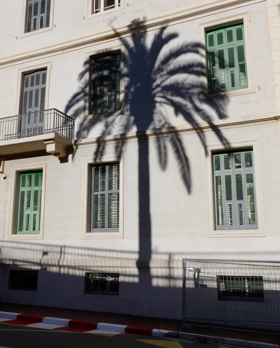 Detail shot of Monaco streets
