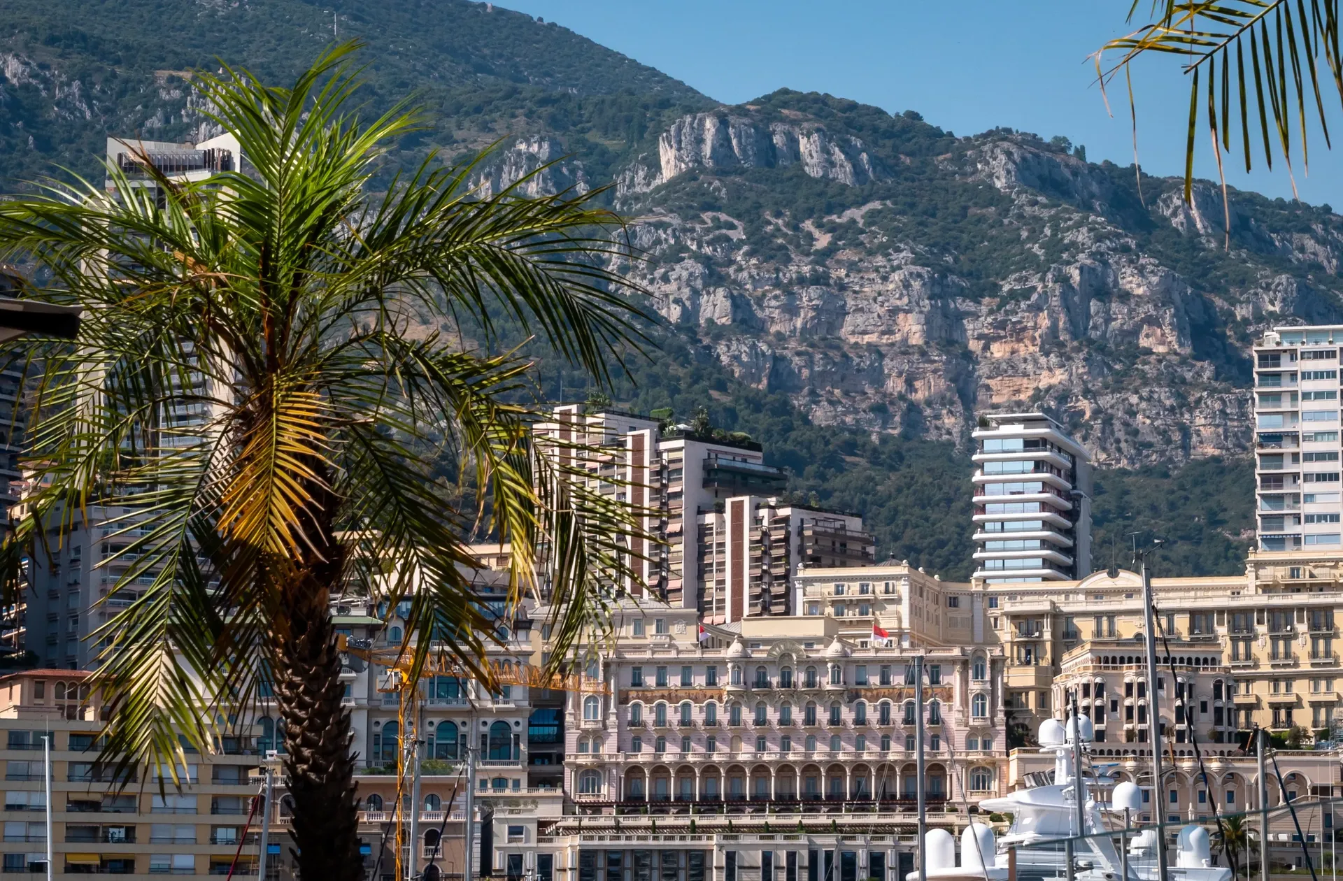 Monaco skyline with palm trees, high-rise buildings, and mountains rising behind the city.